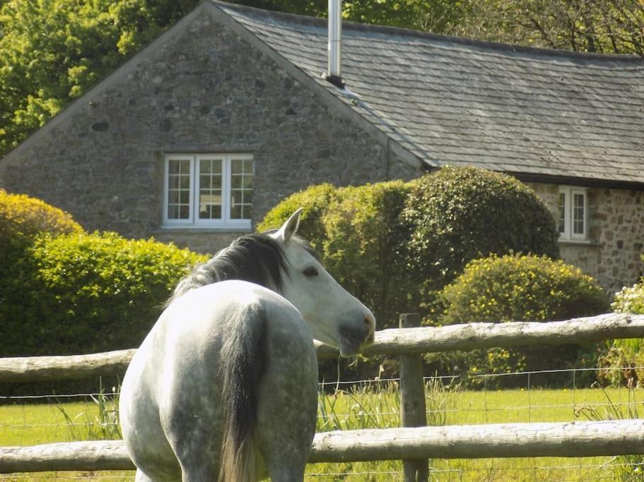 Lower Willsworthy Cottage Tavistock  Exterior photo